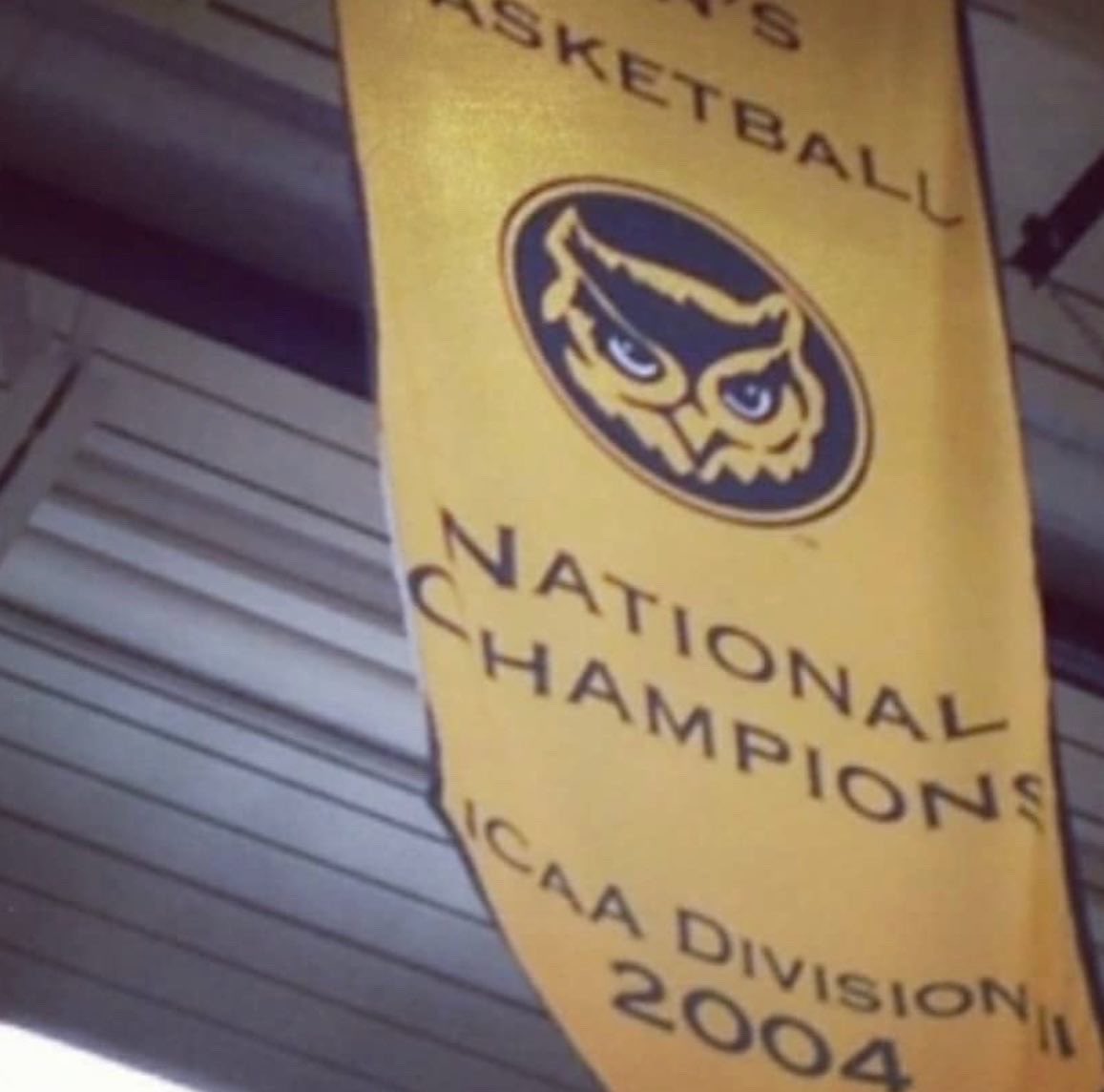 Izzy Ingle tweet media