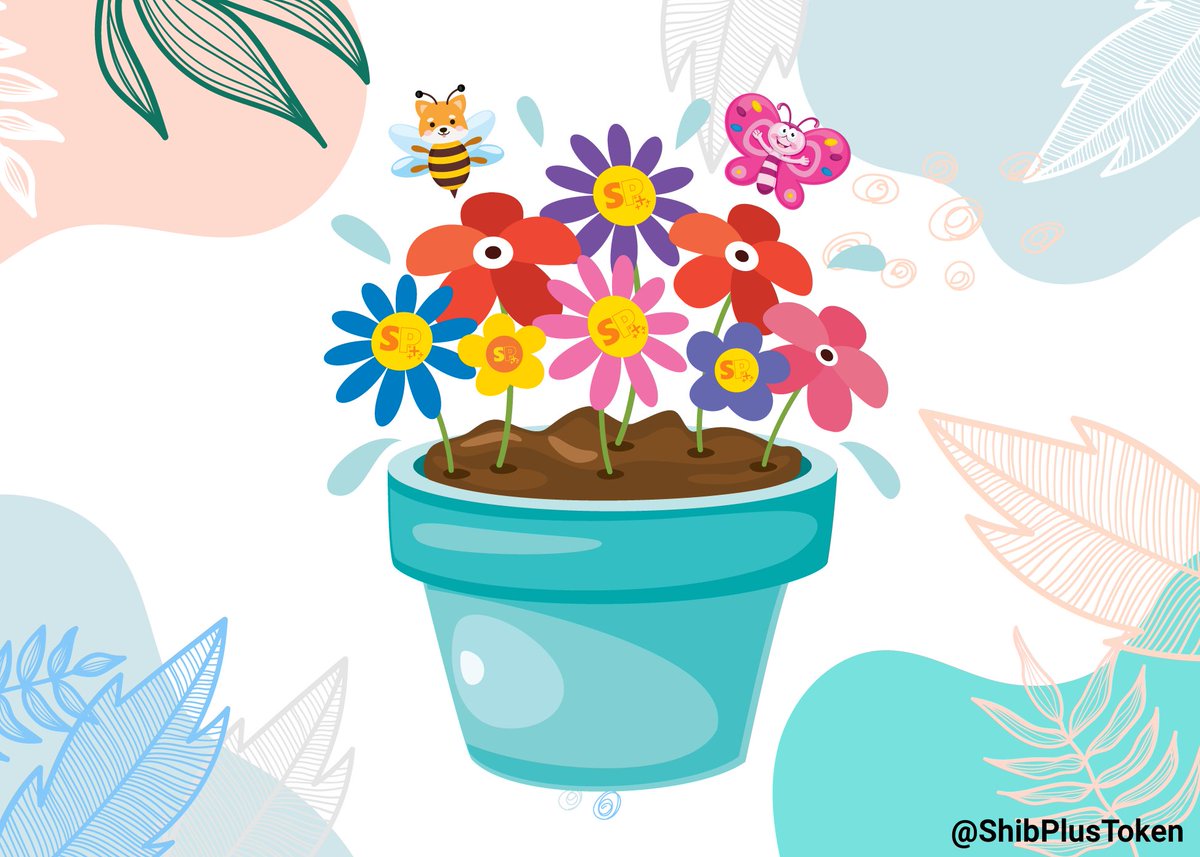 Davis Noah tweet media