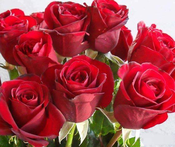 SUPERMODEL BARBARA PALVIN -HAPPY BIRTHDAY 