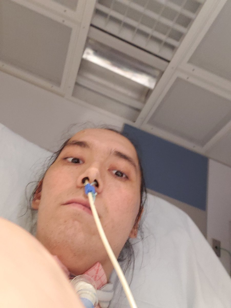 danmaku idiot tweet media