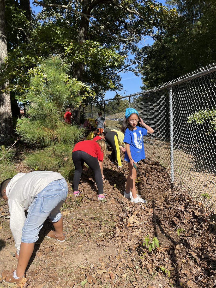 #GotMilkweed Carmel Elementary’s 4th grade planted milkweed and wildflowers to attract Monarch butterflies and other native pollinators.