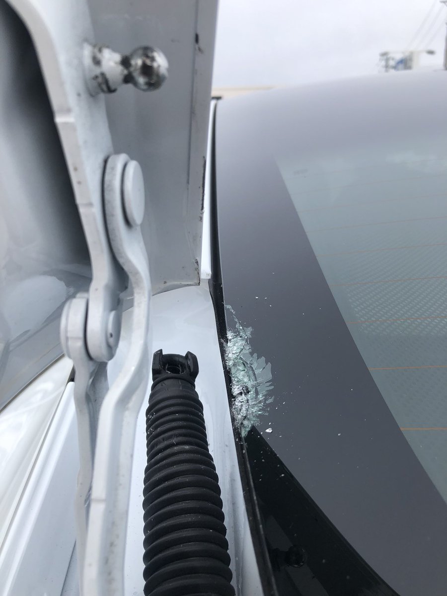 マカロニサーモン tweet media