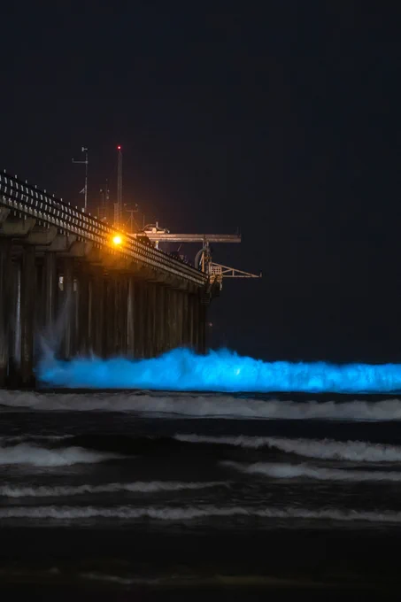 Bright blue waves at night at Scripps Pier 