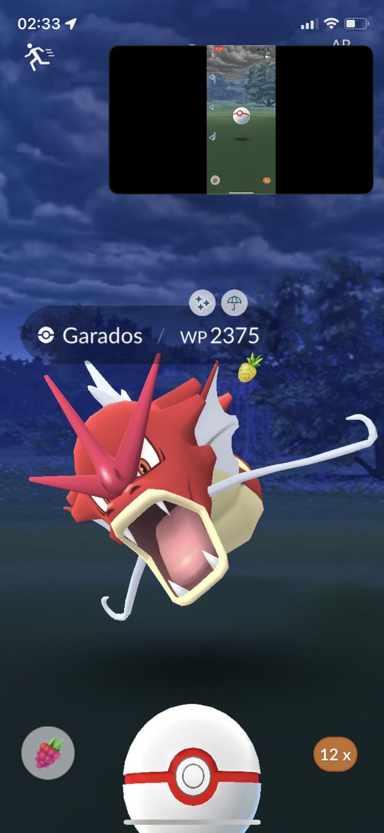 Siegthorsonn's tweet photo. first raid 🥰🥳🔥 thanks @ItsFleeceKing for inv 🙌❤️😂 #PokemonGO #garados #raidday #PokemonGOraid https://t.co/rscj6LnsbT