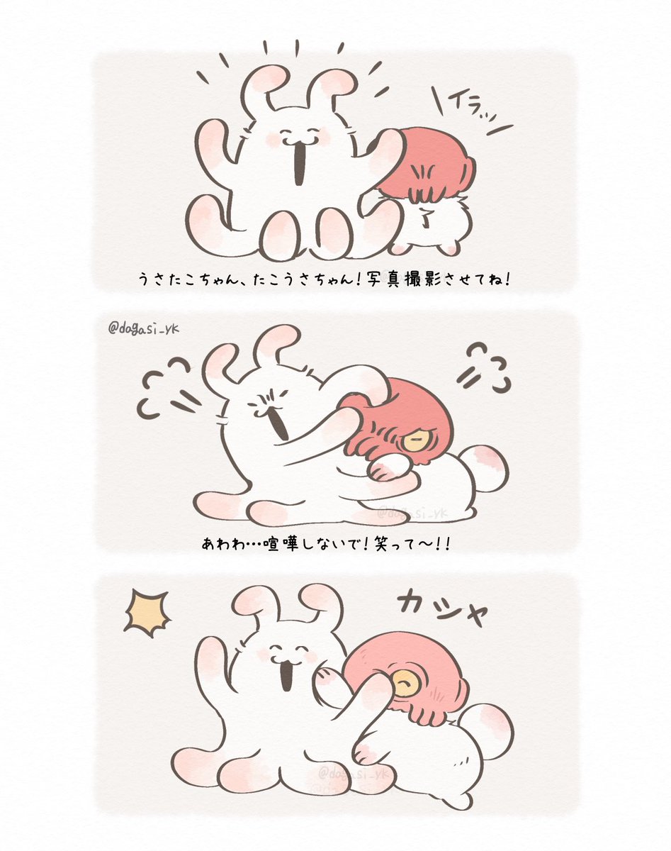 かわいいキメラ 記念撮影 