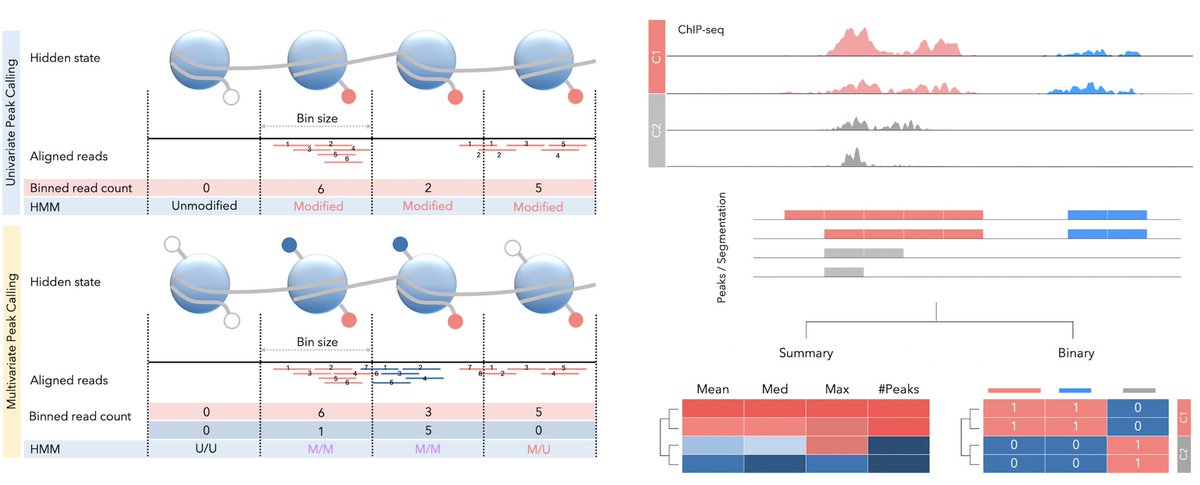 Elias Orouji (@orouji) on Twitter photo Happy to share our Review on chromatin state dynamics and computational tools to explore differential CS in normal vs. cancer cell | @ Briefings in Bioinformatics | w/ <a href="/aayushraman/">Ayush Raman</a> | academic.oup.com/bib/advance-ar… | <a href="/PMResearch_UHN/">Princess Margaret Cancer Centre Research</a> <a href="/broadinstitute/">Broad Institute</a> <a href="/MDAndersonNews/">MD Anderson Cancer Center</a> #epigenomics #chromatin Happy to share our Review on chromatin state dynamics and computational tools to explore differential CS in normal vs. cancer cell | @ Briefings in Bioinformatics | w/ <a href="/aayushraman/">Ayush Raman</a> | academic.oup.com/bib/advance-ar… | <a href="/PMResearch_UHN/">Princess Margaret Cancer Centre Research</a> <a href="/broadinstitute/">Broad Institute</a> <a href="/MDAndersonNews/">MD Anderson Cancer Center</a> #epigenomics #chromatin