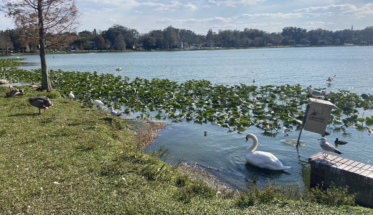 The Southern Newspaper tweet media