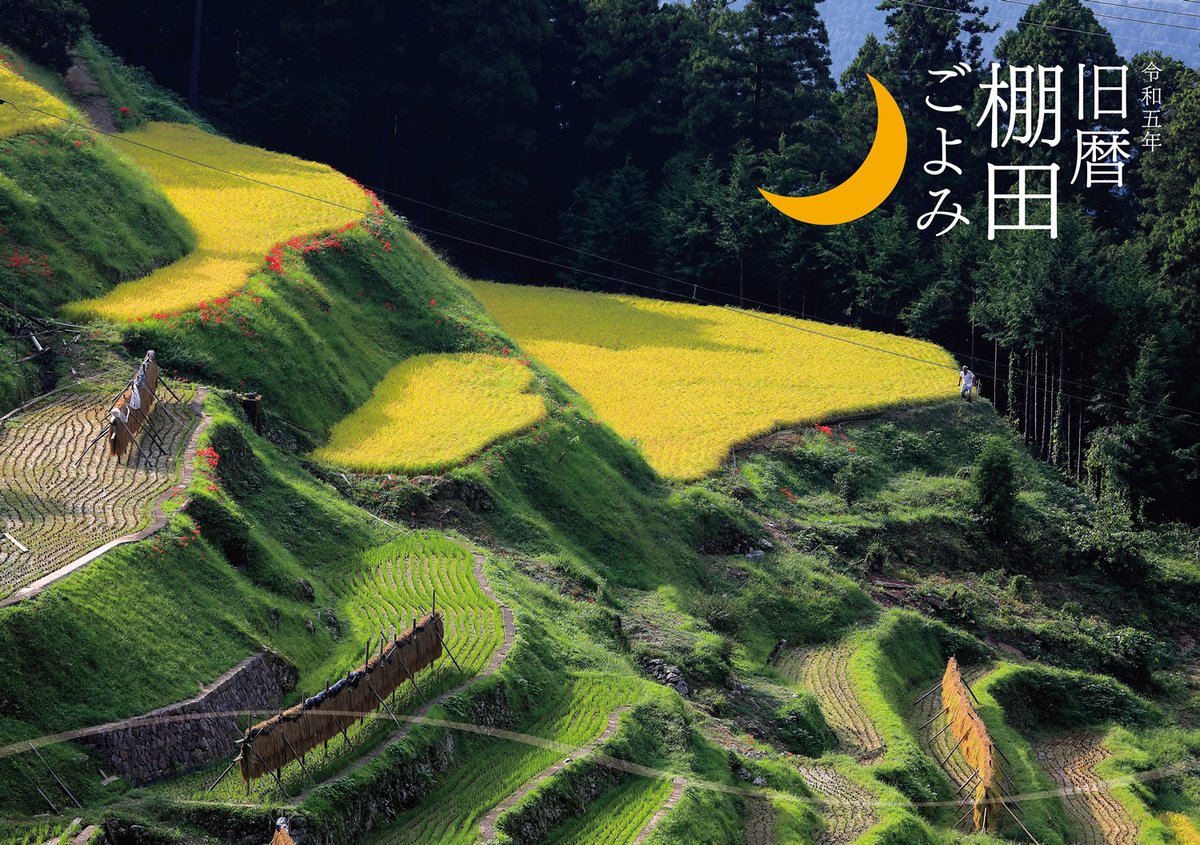 fotsy001's tweet photo. 来年（平成5年）版の「#旧暦棚田ごよみ」の表紙は、愛媛県内子町の #泉谷の棚田 の秋の風景です。
農家の人が映ってますが（探してみてください）、その姿と比べると、どれだけこの棚田の段差が高いかがわかってもらえると思います。

#旧暦 #2023年カレンダー #平成5年カレンダー #棚田 https://t.co/6XXXpL8KMe