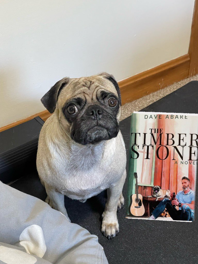 “I read my daddy’s #novel #TheTimberStone 6 times already, so you should read it at least once. Plus, it has a #pug in it!” 🥹🐶 #fiction #pugsoftwitter #dogsoftwitter #pugs #romancebooks #Lovestory #books