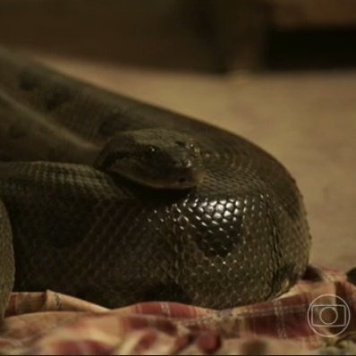 mariegomesz's tweet photo. Último dia pra aclamar a atuação das lendas #Pantanal https://t.co/6SIZAgz8F3