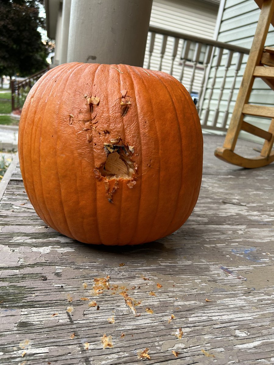 BLechel's tweet photo. This is nuts, the neighborhood squirrel(s?) really have something going here. https://t.co/VEAXu9v6Ro