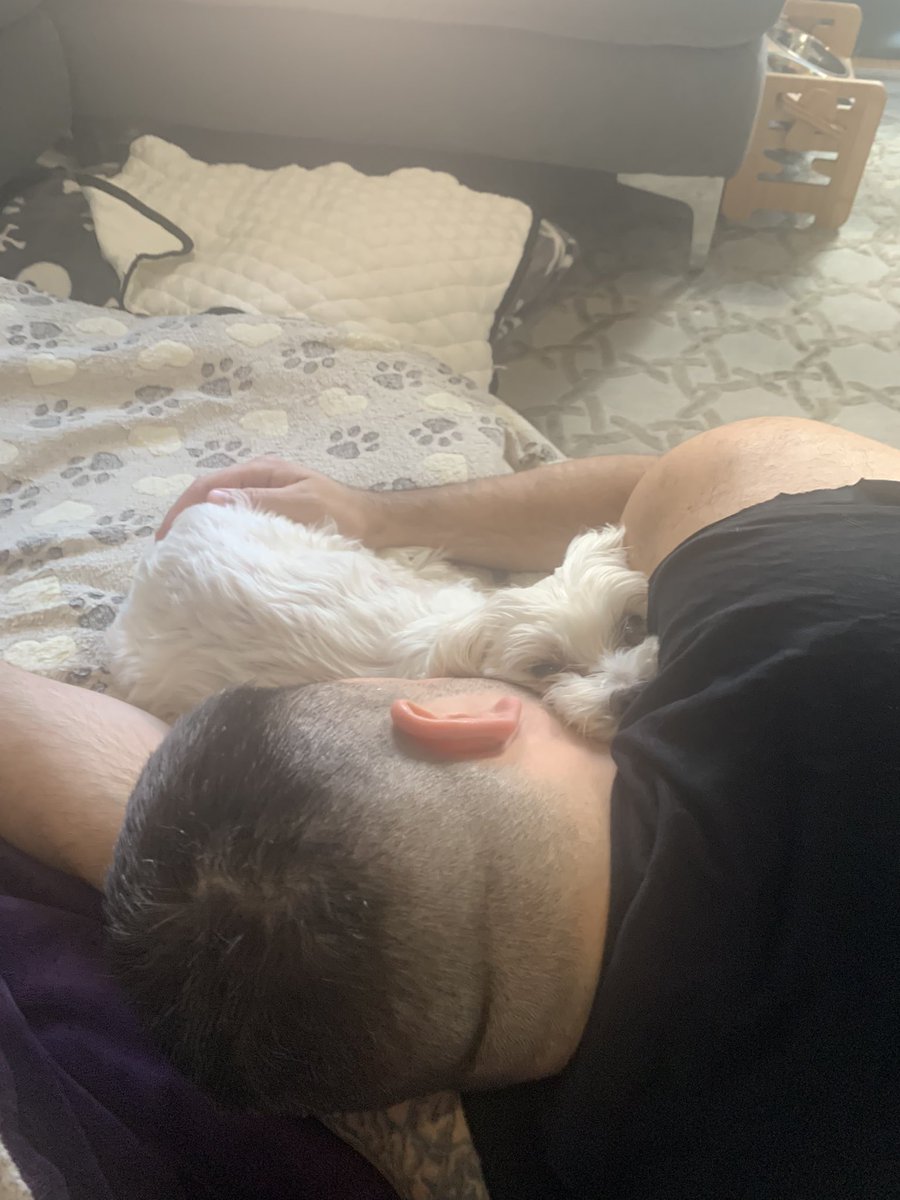 PuppyCapone's tweet photo. I love my papa..🙏🏼 https://t.co/3pOavZ7uAn