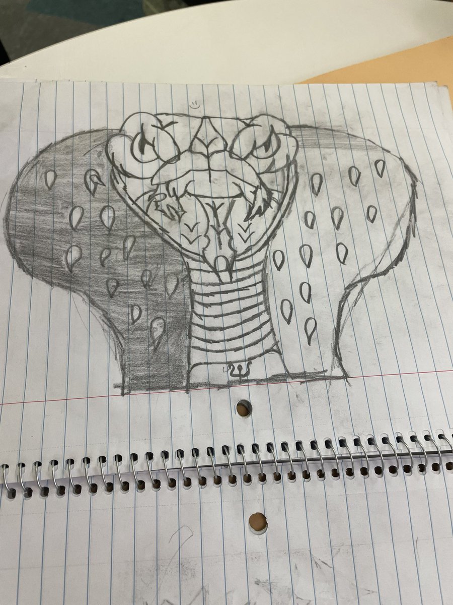 Writing partnerships having fun, creating a classroom constitution, celebrating a beautiful VIP, and a very cool cobra drawing are a few highlights of a great week in fourth grade #OneMorse in #OneTroy