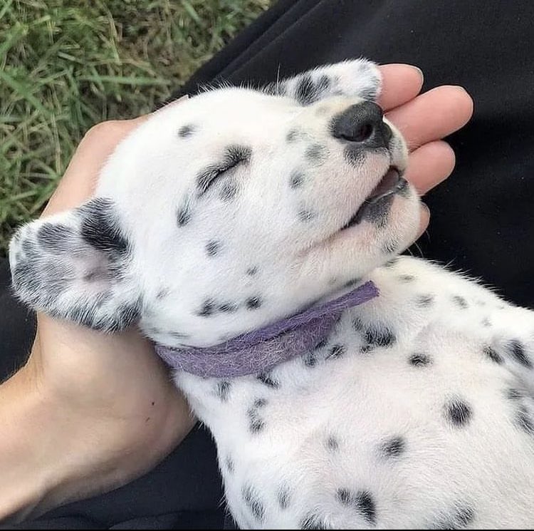 Moods (@thesemoods) on Twitter photo 