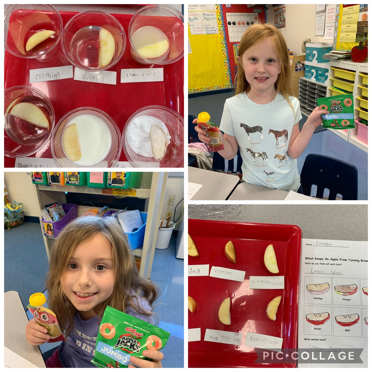 MrsBsBobcats's tweet photo. We had to wait a week, but oh what fun our Apple STEM activities were today 🍎.Exploring how to build a tower using only apples and toothpicks and investigating which substance helps apples from turning brown. And, yummy apple snacks too!! Science is Fun! 🍎🍎 @McKitrickElem https://t.co/QETqqPxtCL