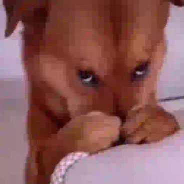 artbboun's tweet photo. quanto tempo não apareço aqui https://t.co/Gy81BzOkS5