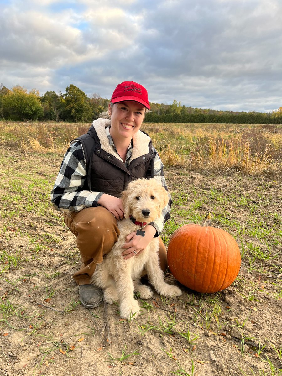 __amandq's tweet photo. Benji’s turning into the best little orchard pup❤️ https://t.co/iKZmLIVhsy