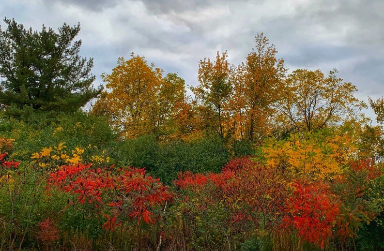 #Michigan