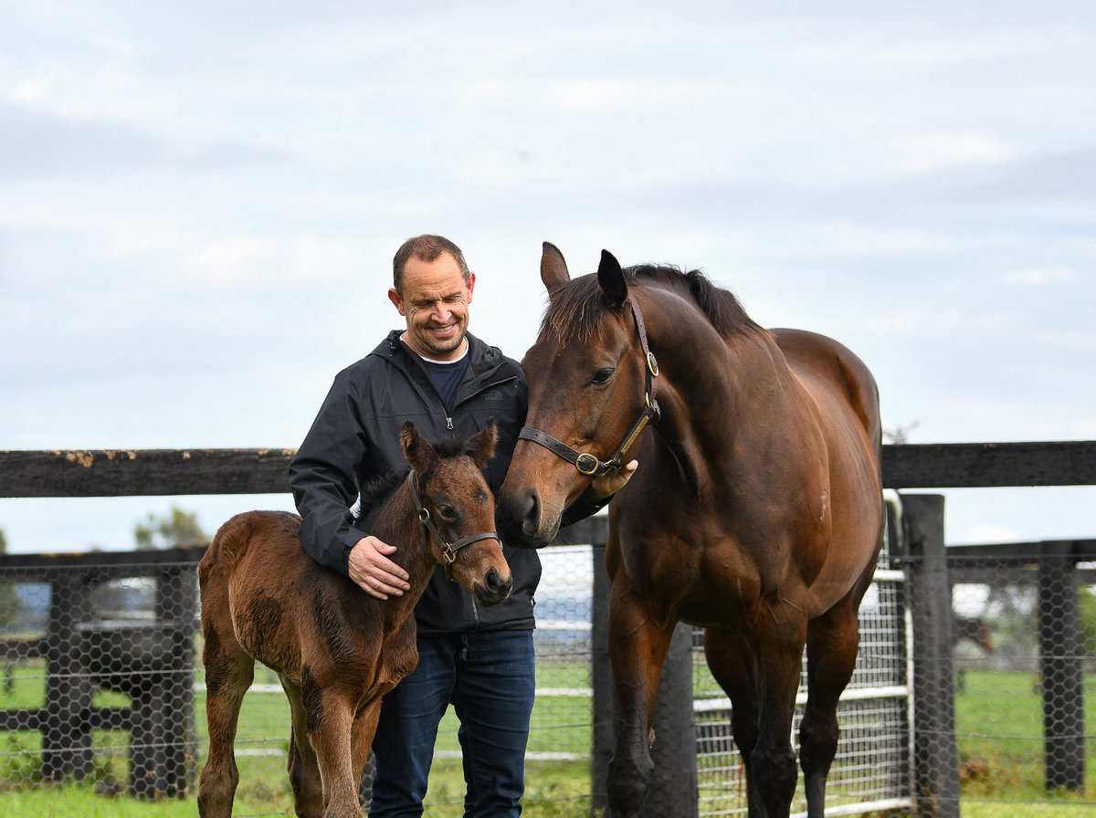 Today is a special day that Winx deserves & by my judgment I sensed a very proud Mum. Winx, you are an inspiration to me & so many others. Enjoy being a Mum & stay healthy.  Special thanks to a dedicated farm. Chris