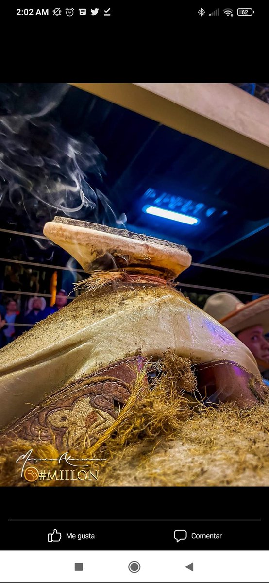 Fotografía de Marco Alarcón