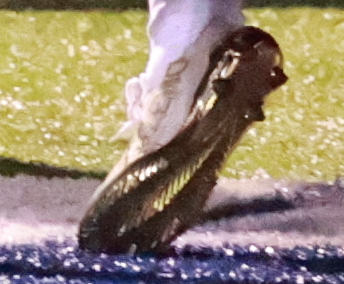 TranLongmoore's tweet photo. Touchdown Laurio?
Yep. https://t.co/NQOACI01EC