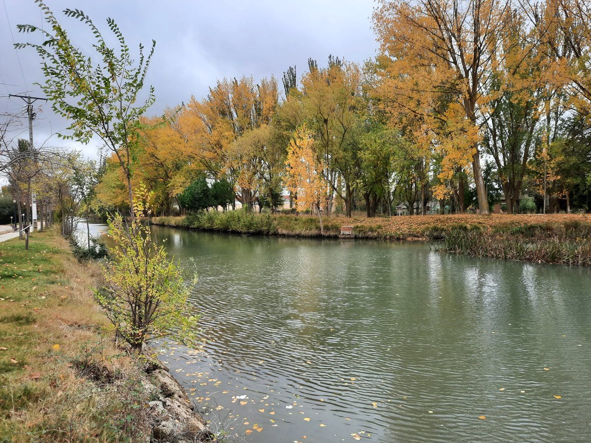 #buendía #buenosdías #CanaldeCastilla #otoño 🍁#BecerrildeCampos #Palencia