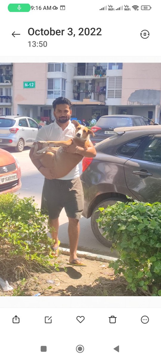 tarana2510's tweet photo. What a Joy to #BeaStreetHeart @htcity & @jaypeewishtown
#IndiaUnitesForAnimalRights #WorldAnimalDay #जीवनहींजीवननहीं #stopanimalcruelty
#NotAawaraYeHumara
In this image @CrayLyf with #CommunityDog #JaypeeAman @aga_pallavi @DarPallavi @ikaveri @AggaAlka @meevkt @mishra_abhi https://t.co/v3yj9YukQu