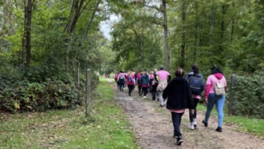🎀 Une semaine solidaire qui a démarré par une course de 10 km,  une marche de 5 km #OctobreRose #AxaAtoutCoeur 🎀