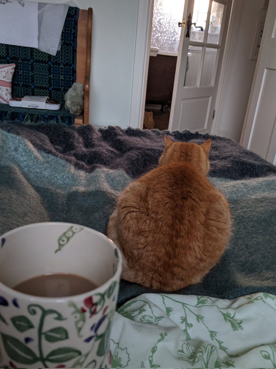 melliesully's tweet photo. @Tim_Burgess Good morning Sunshine!
Totty guarded me while I had my first coffee but the lure of the new blanket has proved to be too much!
#TypicalMusic IS a Saturday morning album & a total triumph.
We ❤️ you Mr @Tim_Burgess 😊 https://t.co/WHiUFhQsY0