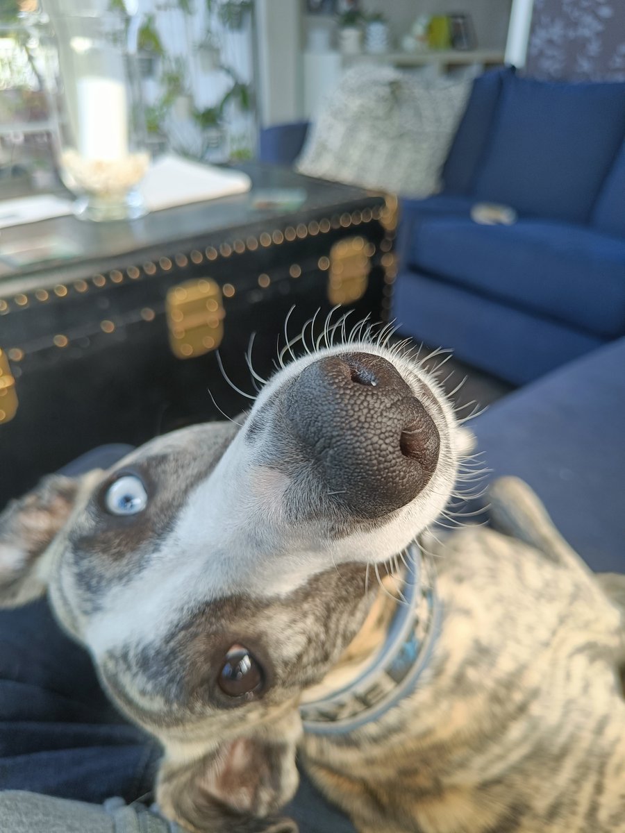 Christer Sarkasmus Solskogen tweet media