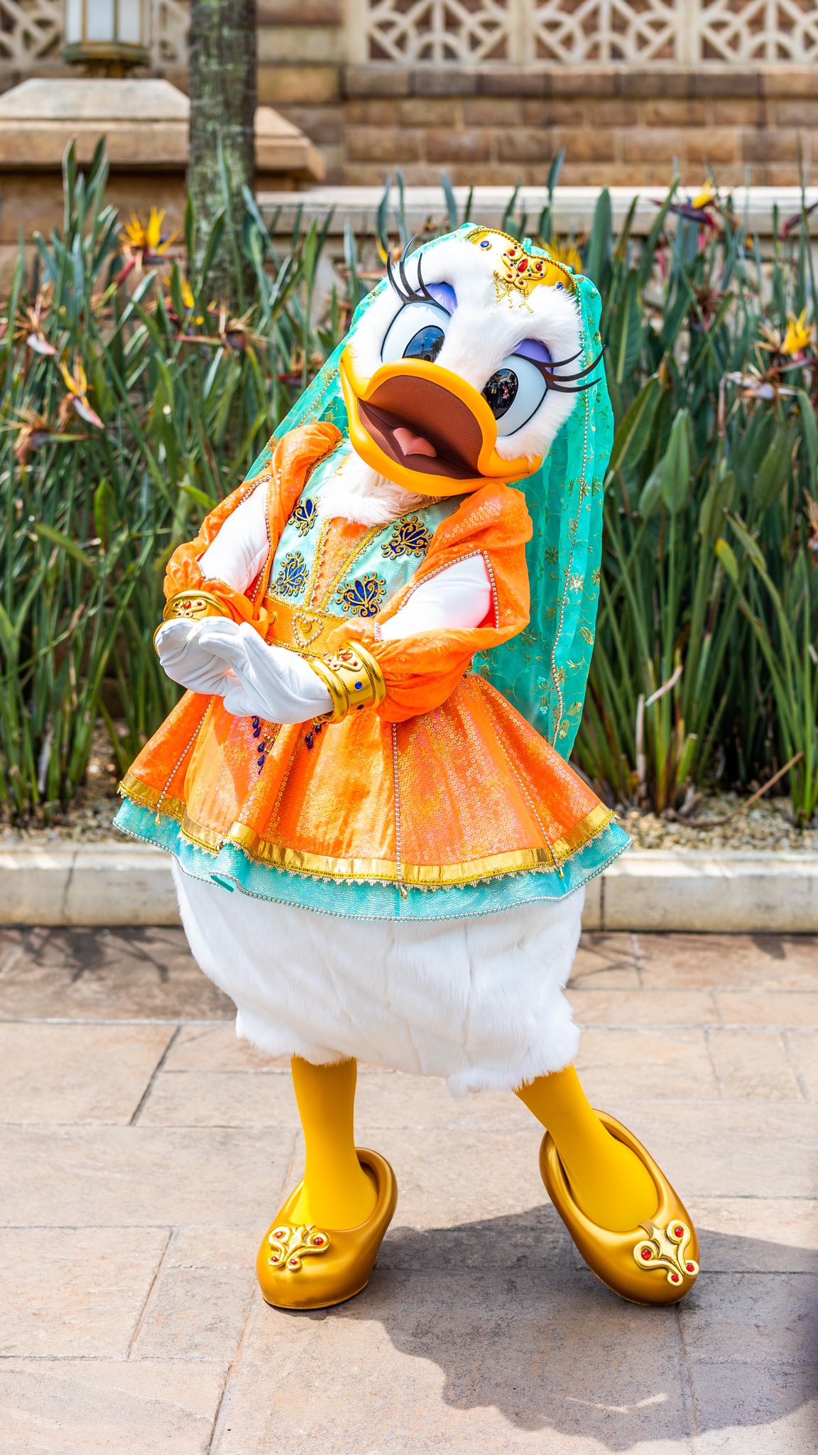 ディズニー　仮装　Dハロ　衣装　コスプレ　デイジー　アラビア　アラビちゃん ディズニー 仮装 Dハロ 衣装 コスプレ デイジー アラビア アラビ
