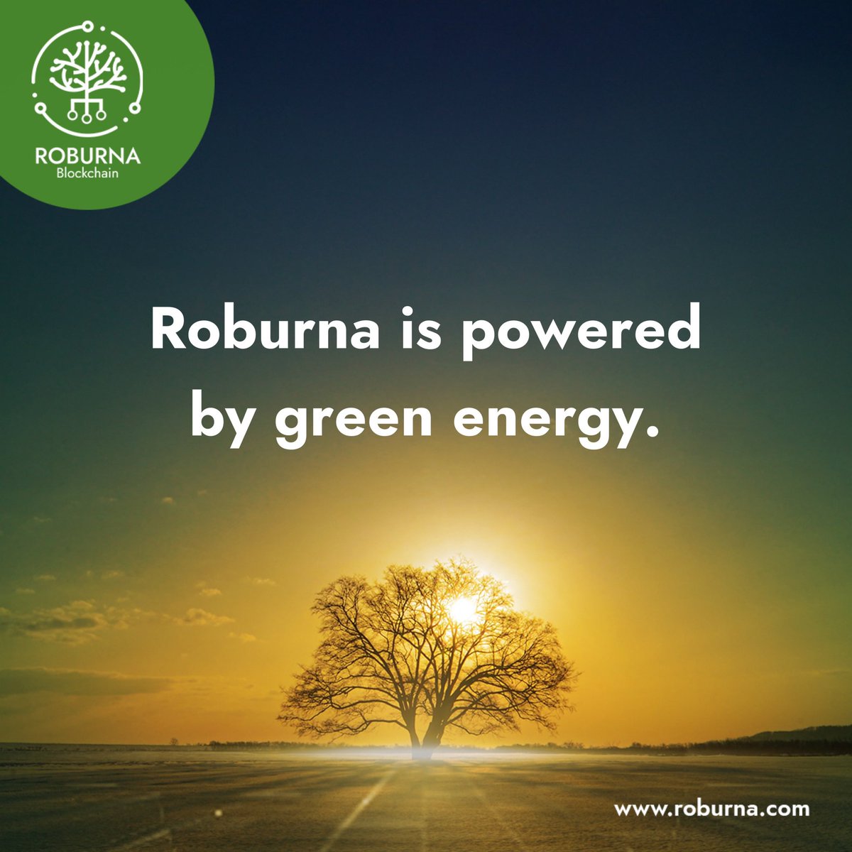 In the quest to solve most of our #Defi needs, our environment is exposed to the negative impacts of the resultant emissions. Relying on #GreenEnergy is the only sustainable way to combat this. This is why #Roburna is set to provide green solutions to our different DeFi needs.
