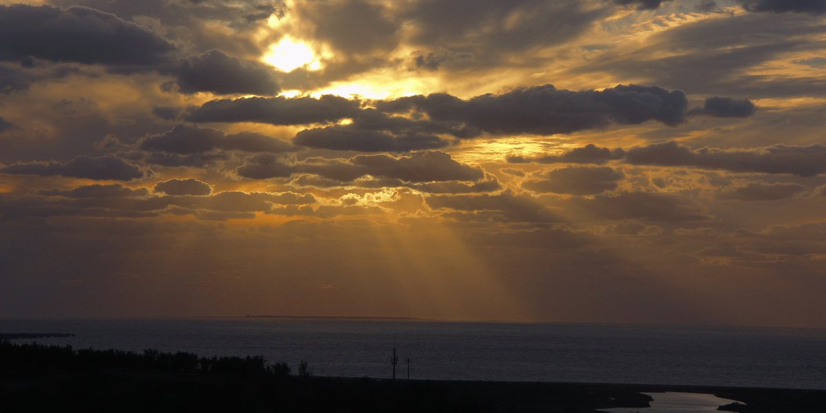 Can (@can54680483) on Twitter photo 