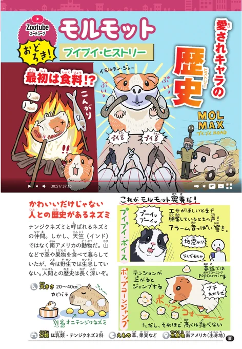 『PUI PUI モルカー』2期スタートを記念して『ゆかいないきもの超図鑑』より「モルモット」図解を特別公開です。まだ車になってない頃の(?)モルカーの生態や歴史について学んでおきましょう。2期にも「ご先祖様」出るかな…? 