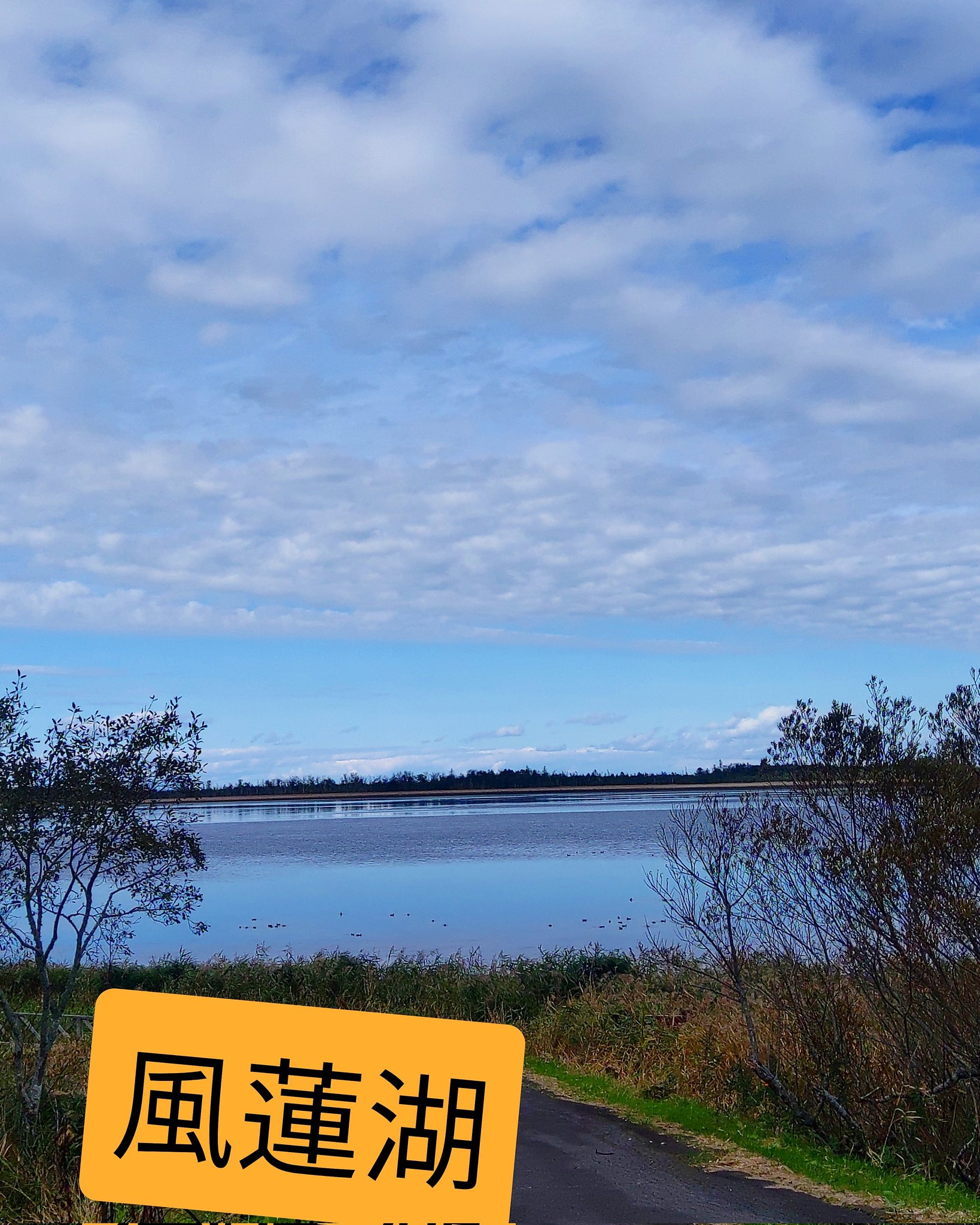 天国への扉ペットメモリアル釧路 道東 Eeurjeszcqnwihf Twitter