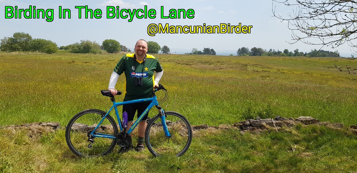 MancunianBirder's tweet image. The annual Greater Manchester Green Summit, on 17th October, is being hosted on Salford's docklands, the established venue for the Conference that brings together the #GreaterManchester community in our efforts to build a world-leading #GreenCityRegion 

issuu.com/livinginfuture…