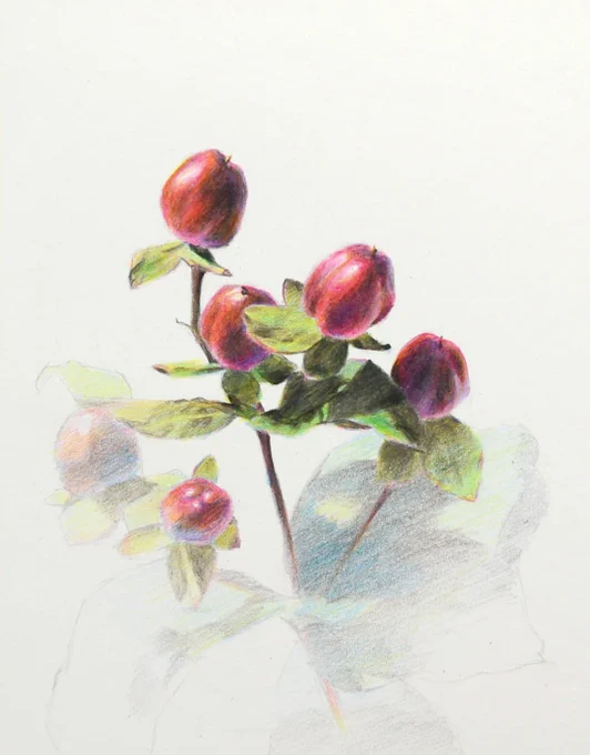色鉛筆の白、黒、グレー、三原色を使って短時間で描いた絵。*4枚目だけグレー未使用。#色鉛筆 #色鉛筆画 
