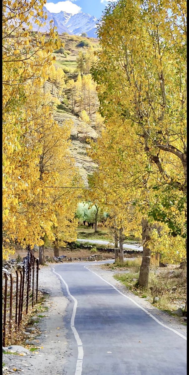 atrivedi21's tweet photo. Trans Himalayan Autumn colours.. https://t.co/bSAlmBByLw