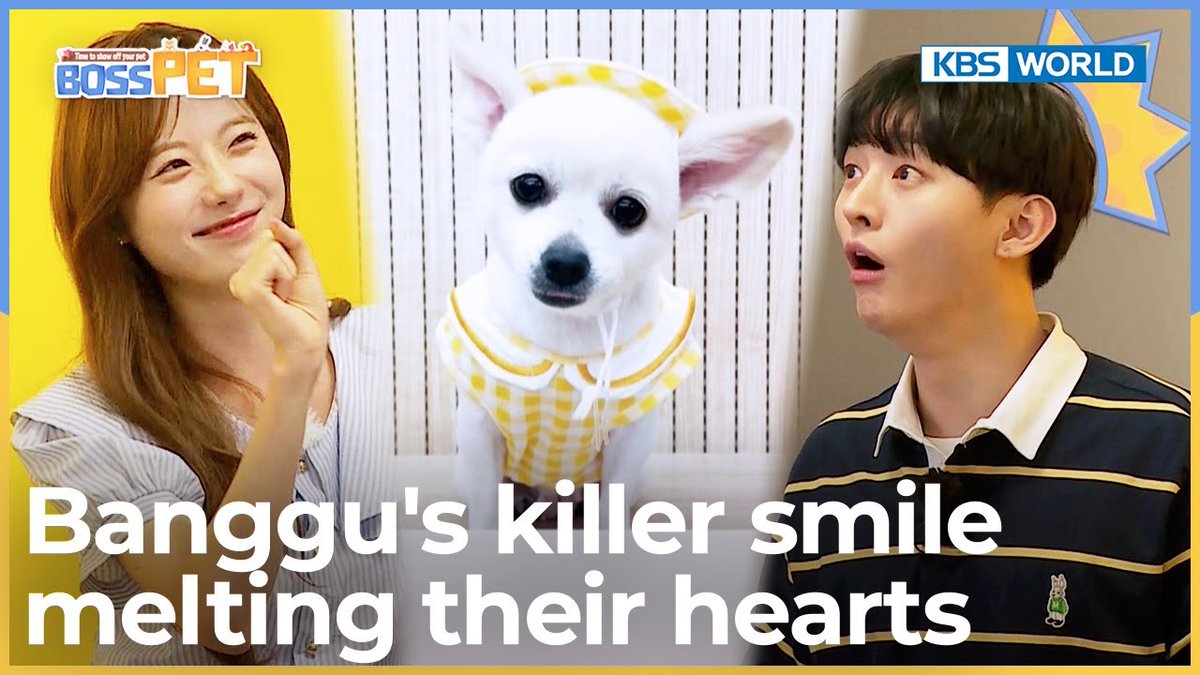 wjsnglobal's tweet photo. Banggu's killer smile melting their hearts [Boss Pet : EP.12-1] | KBS WORLD TV 221007
https://t.co/zuqPr7an6N
#우주소녀 #WJSN #루다 #Luda #방구 #banggu #우리집상전 #bosspet #ボスペット @WJSN_Cosmic https://t.co/iNS577pCPZ