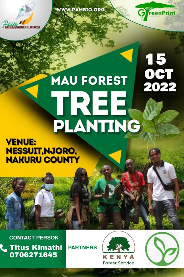 CharityShekinah's tweet photo. This being our 3rd Mau project this year,we are dedicated in making it successful & impactful.
Join us on Saturday,15th October as we grow 30k seedlings in the course of saving Mau Forest.
@PeaceAmbsKenya @Greenisamissio1 @Environment_Ke @WeNaturalists @UnivKenya
#Treesforpeace https://t.co/GPovOAOasU