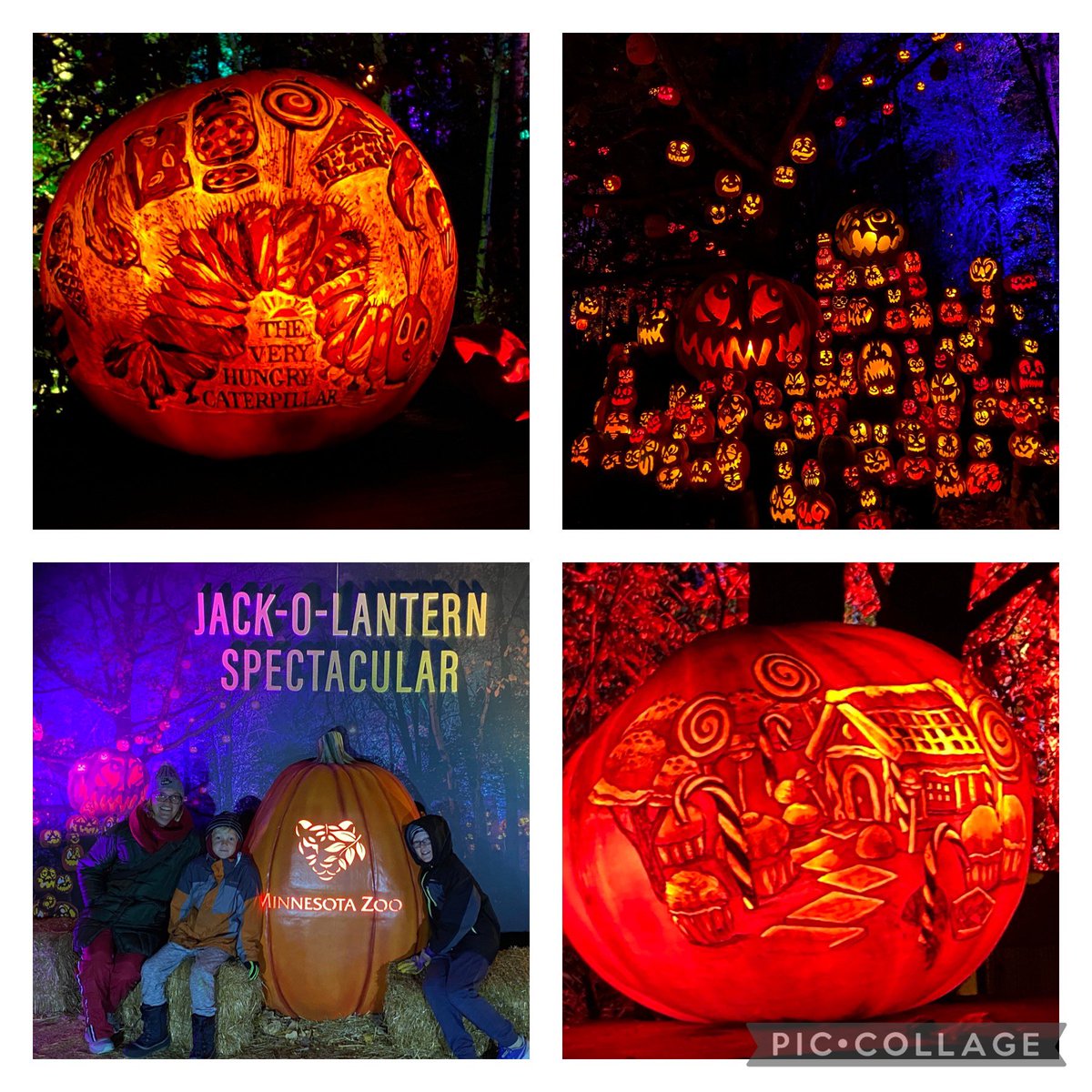 BNL_Gruenke's tweet photo. A perfect night for the Jack-o-lantern Spectacular! @mnzoo #nightatthelibrary https://t.co/yOA0Xel4ts