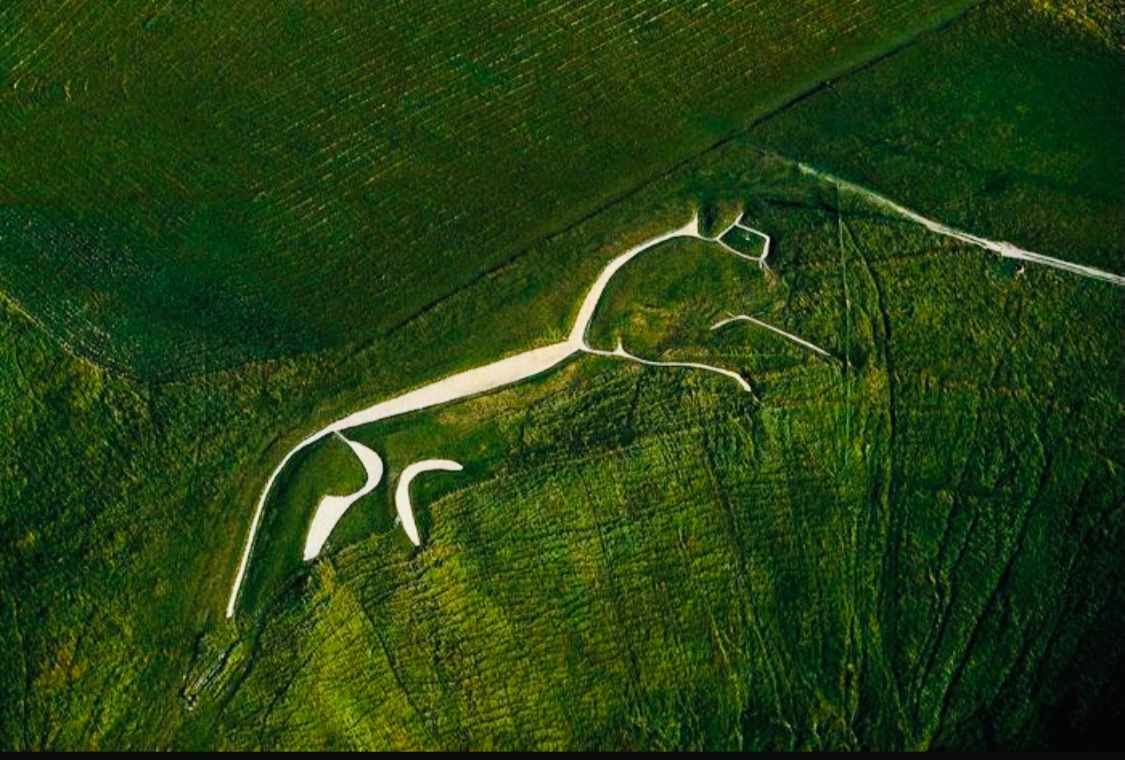 sheisartmoney's tweet photo. when it comes to #geoglyphs and the #NascaLines, why is it always they’re made to see from above for / by aliens? and not that we ourselves flew as a normal part of life. https://t.co/pLQYVBNtJ0