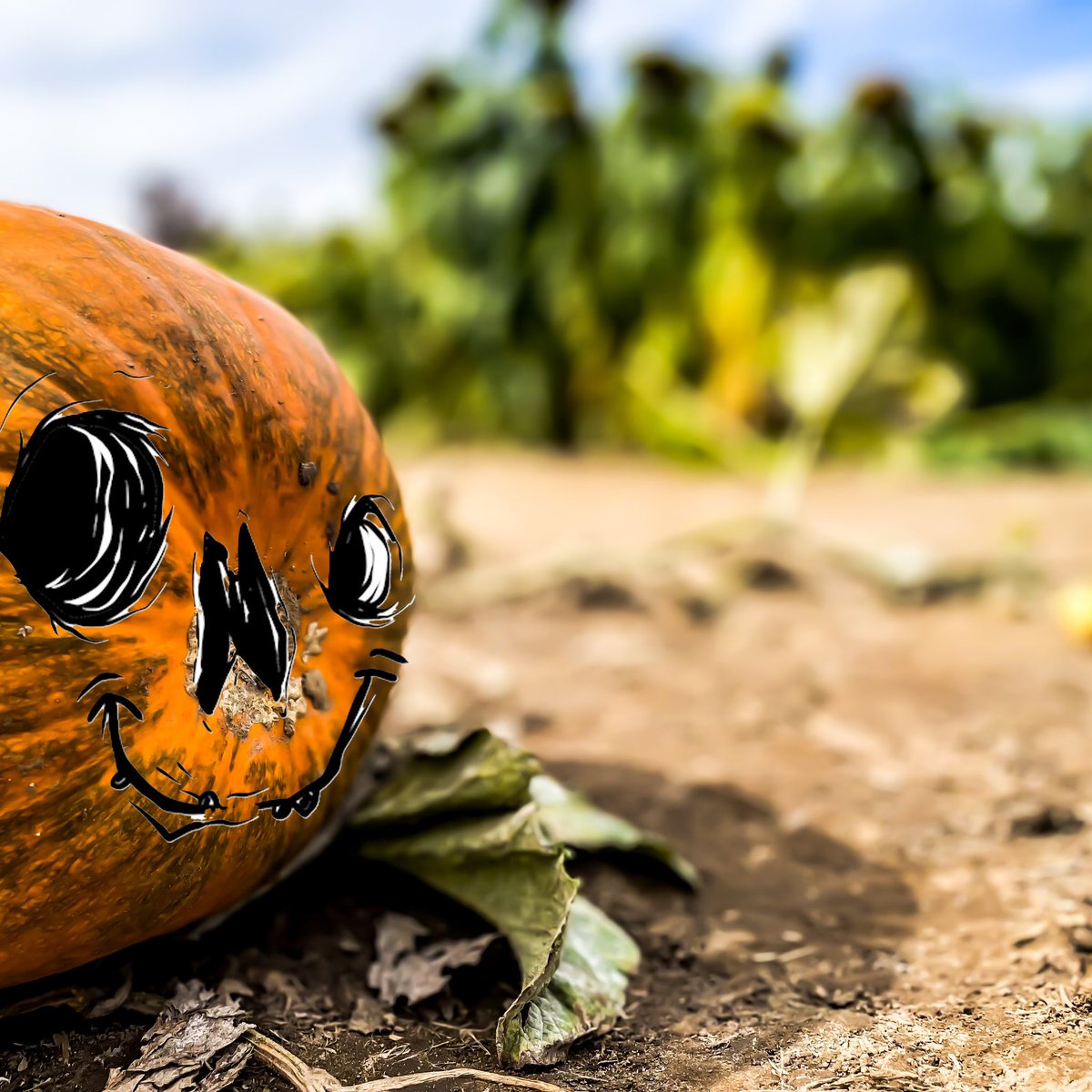 AgingDeath's tweet photo. @DStopmotion @goblintown 🎃 https://t.co/n69KU3VQHB