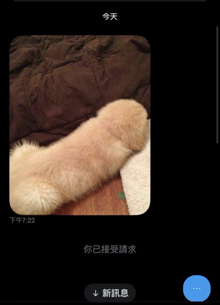 小月亮🌙 tweet media