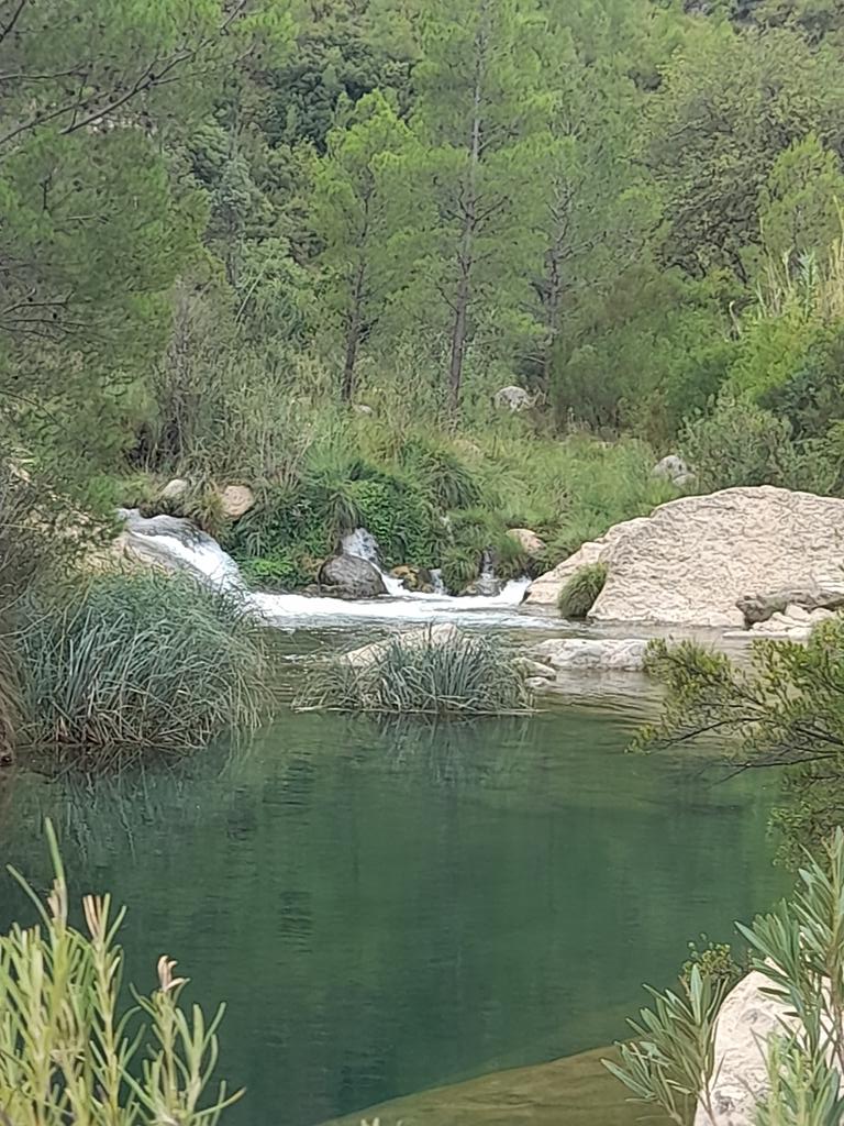 jamasjamas67's tweet photo. Sot de Chera https://t.co/9hlNgnvO1S