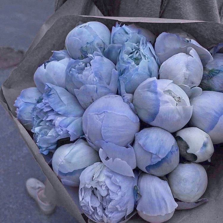 peonies