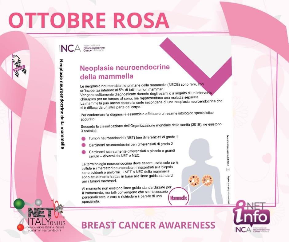 🌸Ottobre è il mese rosa 🌸
quello della prevenzione al #tumore al seno.
Ma esiste anche il tumore al seno neuroendocrino e una  diagnosi precoce è importante.
Scarica  #NETInfo e condividi questa notizia sui social e con i tuoi medici: 
incalliance.org/net-info-pack
#LetsTalkAboutNETs