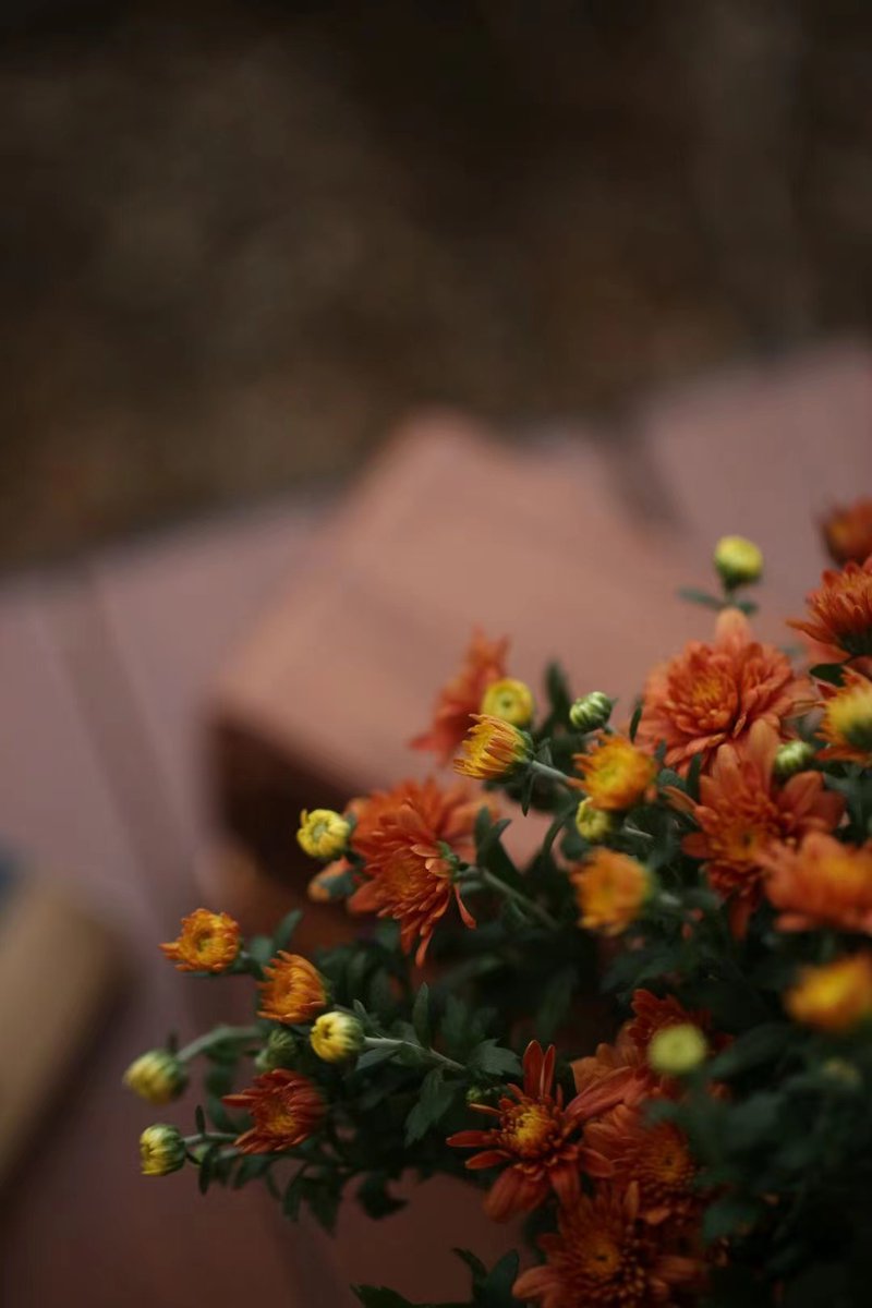 @ttsofiatt1 (@ttsofiatt11) on Twitter photo 