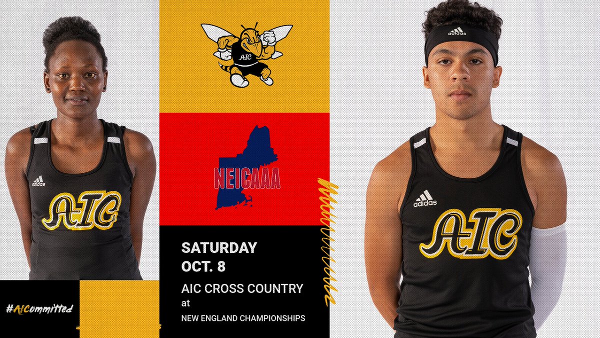 AIC Athletics tweet media