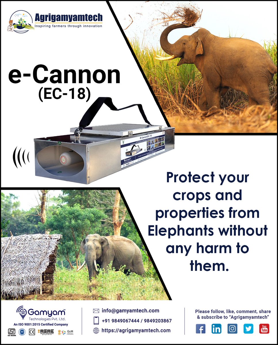 ABRConserv's tweet photo. #Elephants #Attack #Croploss #Property #Damage #ecannon #ElectronicCannon #Bioacousticgadget #Electronicdevice #Acoustic #Soundmakingdevice #Alarmcalls #Distresscalls #Predatorycalls #Helpfarmers #ICAR #PJTSAU #GamyamTechnologies #Agrigamyamtech
Contact more details: 98490 67444 https://t.co/hv0VfpJ5ft